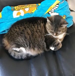 Meet your Posher, Jackie